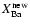 $ X_{\rm Ba}^{\rm new}$