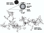\begin{figure}
\par\includegraphics[width=13.2cm,clip]{8778fig1} \end{figure}