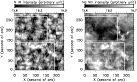 \begin{figure}
\par\includegraphics[width=12cm,clip]{9235fig1.eps}\end{figure}