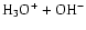 $\rm H_3O^++OH^-$