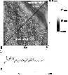 \begin{figure}
\par\includegraphics[width=8.5cm,clip]{8964fig7}\end{figure}