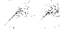 \begin{figure}
\par$\begin{array}{cc}
\includegraphics[width=0.43\textwidth]{899...
...cludegraphics[width=0.43\textwidth]{8997f4b.eps}\\
\end{array} $
\end{figure}