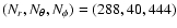 $(N_{r},N_{\theta},N_{\phi}) = (288,40,444)$