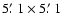 $5\hbox{$.\mkern-4mu^\prime$ }1 \times
5\hbox{$.\mkern-4mu^\prime$ }1$