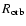 $R_{\rm orb}$