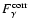$F_\gamma^{\rm corr}$