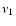 $\nu _{1}$