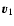 $\vec v_1$