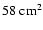 $58~{\rm cm^{2}}$