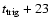 $t_{\rm trig}+23$