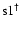 $\rm s1^{\dag }$