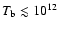 $T_{\rm b}\lesssim 10^{12}$