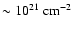 $\sim10^{21}~\rm cm^{-2}$