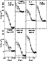 \begin{figure}
\par\includegraphics[width=8.5cm,clip]{Fig7.eps}\end{figure}
