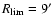 $R_{\rm lim}=9\hbox{$^\prime$ }$