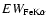 $EW_{{\rm FeK}\alpha }$