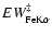 $EW_{{\rm FeK}\alpha}^{\ddagger}$