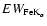 $EW_{{\rm FeK}_{\alpha }}$