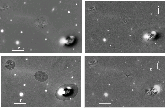 \begin{figure}
\par\includegraphics[width=14.5cm,clip]{8119fig4.ps}
\end{figure}
