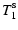 $\displaystyle T_1^{\rm s}$