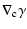 $\displaystyle \nabla_{\rm c}\gamma$
