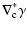 $\displaystyle \nabla_{\rm c}^*\gamma$