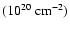$(10^{20}~\rm cm^{-2})$