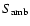 $S_{\rm amb}$