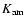 $K_{\rm {am}}$