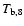 $T_{\rm b,8}$