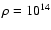 $\rho=10^{14}$