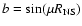 $b=\sin(\mu R_{\rm NS})$