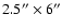 $2.5''\times 6''$