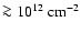 $\ga 10^{12}~{\rm cm}^{-2}$