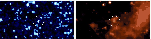 \begin{figure}
\par\includegraphics[width=13.2cm,clip]{9568fig9.ps}\end{figure}