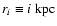 $r_i \equiv i\ {\rm kpc}$