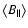 $\left<B_{\vert\vert}\right>$