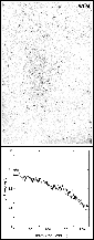 \begin{figure}
\par\includegraphics[width=7.5cm,clip]{9706fig3d.eps}
\end{figure}