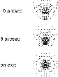 \begin{figure}
\par\includegraphics[width=7.2cm,clip]{spotcoude.eps} \end{figure}