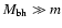 $M_{\rm bh}\gg
m$