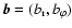 $\vec{b} = (b_{\rm r}, b_\varphi)$