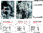 \begin{figure}
\par\includegraphics[width=12.5cm,clip]{0150fig2.eps}\end{figure}