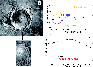 \begin{figure}
\par\includegraphics[width=8.5cm,clip]{0150fig4.eps}\end{figure}