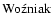 $\rm {Wo\acute{z}niak}$