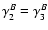 $\gamma^B_2=\gamma^B_3$
