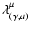 $\lambda^{\mu}_{(\gamma,a)}$