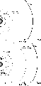 \begin{figure}
\par\includegraphics[angle=270,width=150pt]{images/duststructure_...
...udegraphics[angle=270,width=150pt]{images/duststructure_highdens.ps}\end{figure}