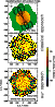 \begin{figure}
\par\includegraphics[width=0.75\linewidth]{481fig12.eps}\end{figure}