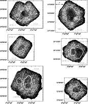 \begin{figure}
\includegraphics[scale=0.95]{481figIb.eps}
\end{figure}