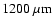 $1200~\rm\mu m$